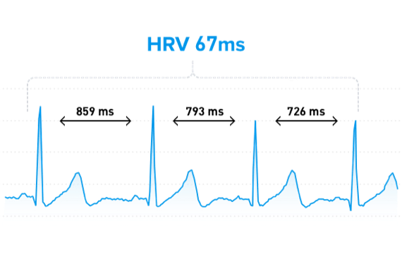 https://www.whoop.com/thelocker/heart-rate-variability-hrv/