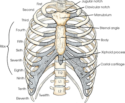 https://radiologykey.com/bony-thorax-2/